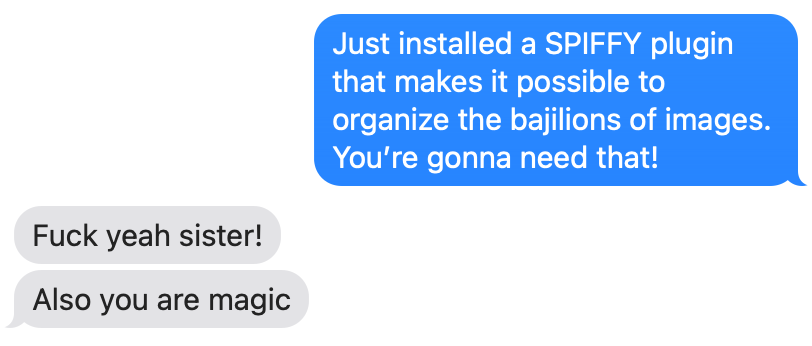 ANGELICA: Just installed a SPIFFY plung that makes it possible to organize the bajillions of images. You're gonna need that! CLIENT: Fuck yeah sister! Also you are magic.